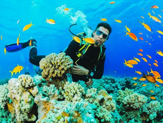 Hikkaduwa Coral Reef Captain's Marina Sri Lanka